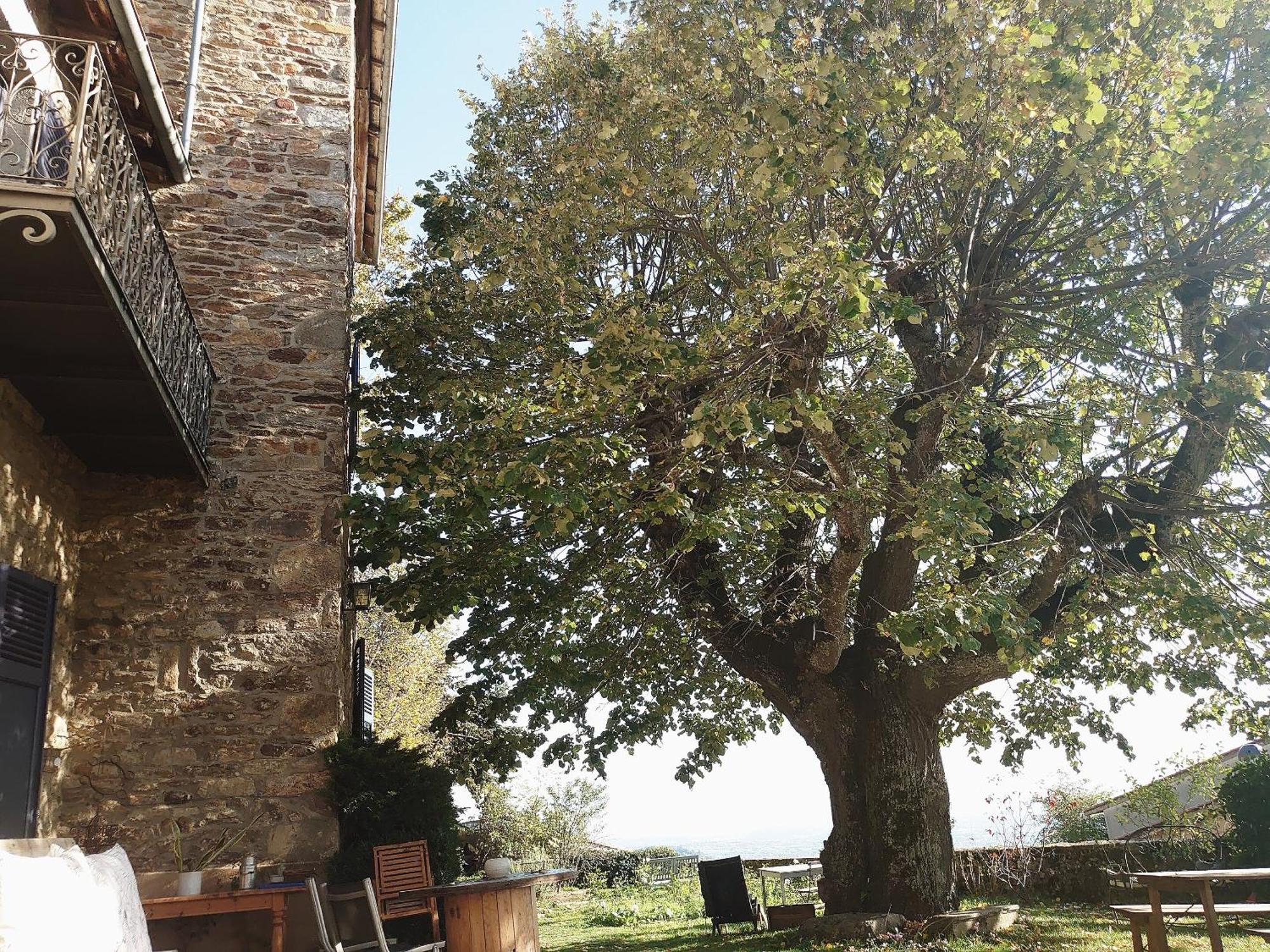 Chateau De Riverie Chambres Et Table D'Hotes Eksteriør billede